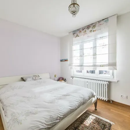 Magnifique 2p Avec Balcon Et Ascenseur 公寓 斯特拉斯堡